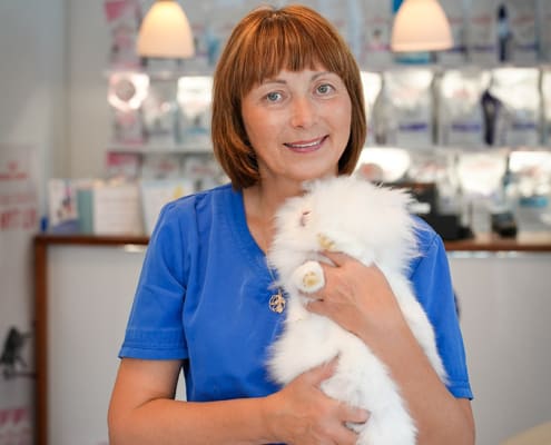 Sød dyrlæge passer godt på dit kæledyr