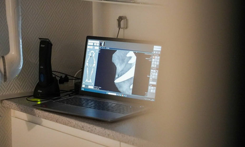 Få den optimale behandling til tænderne