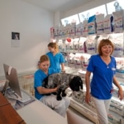 Få Id-mærkning til hunde og katte hos Lindevang Dyreklinik eller få et hjemmebesøg