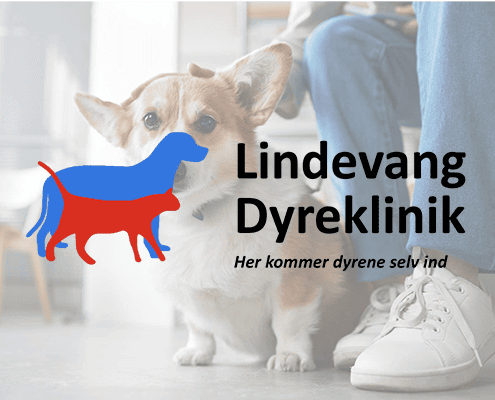 LINDEVANG DYREKLINIK ApS logo