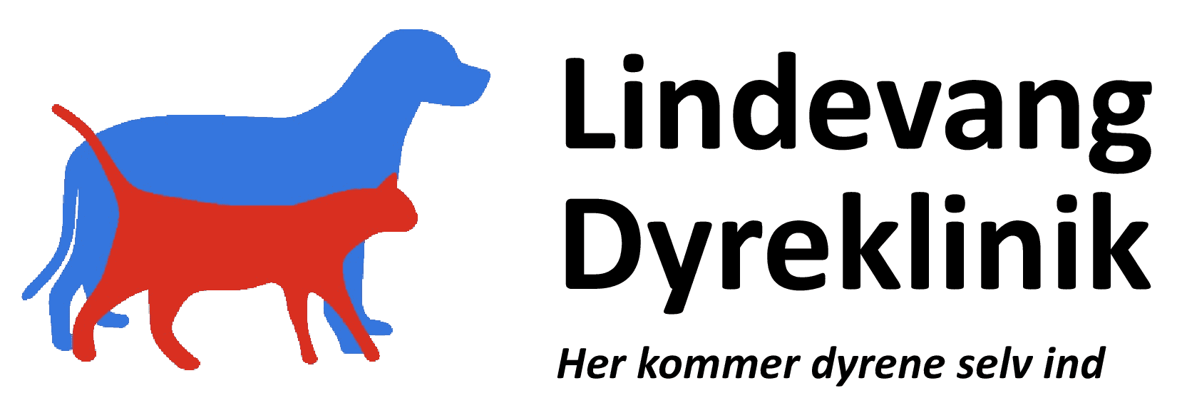 Lindevang Dyreklinik | Få den bedste behandling til kæledyr her